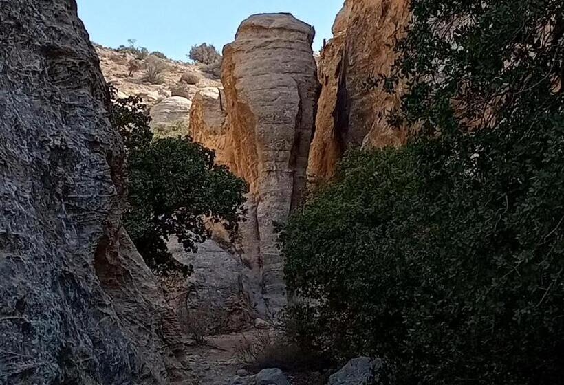 هاستل Dana Historic Village