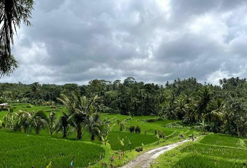 住宿加早餐  Mahottama Wellness And Retreat