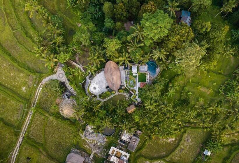 住宿加早餐  Mahottama Wellness And Retreat