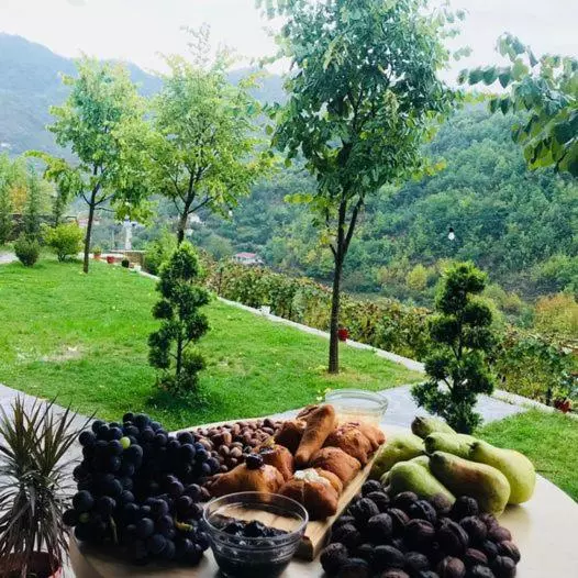 ペンション Bujtina Dini