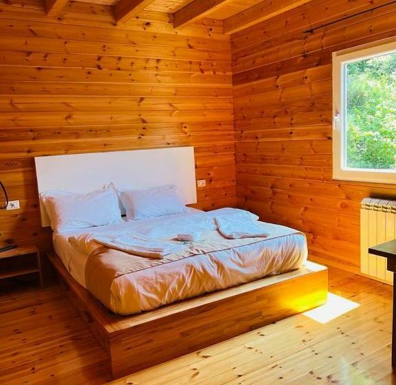 پانسیون Bujtina Dini