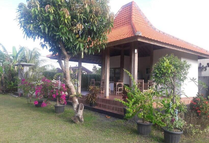 פנסיון Private Room In Damar Bali Guest House
