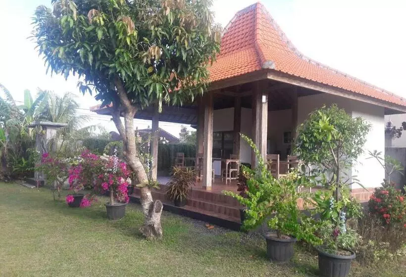 ペンション Private Room In Damar Bali Guest House