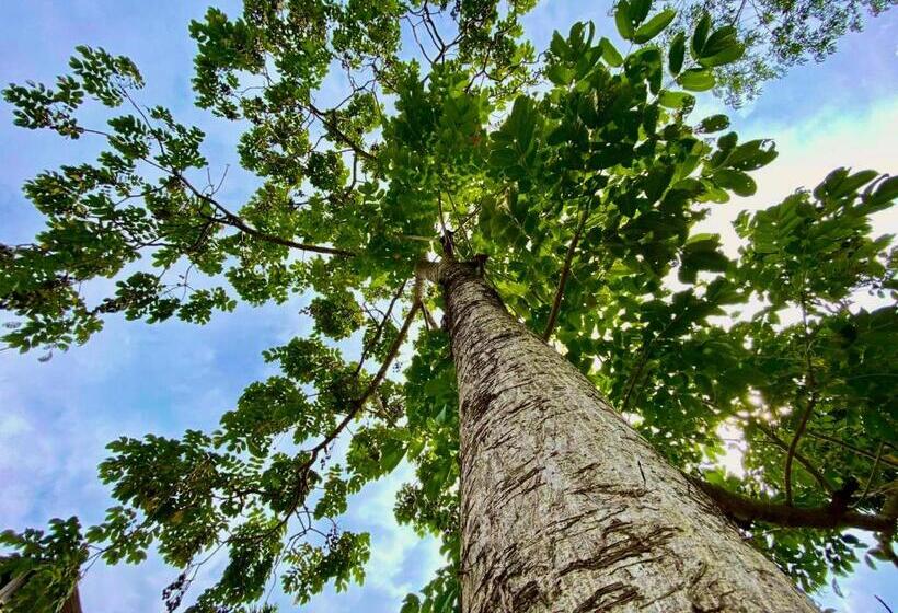 ペンション Jetuka Villa   Sibsagar