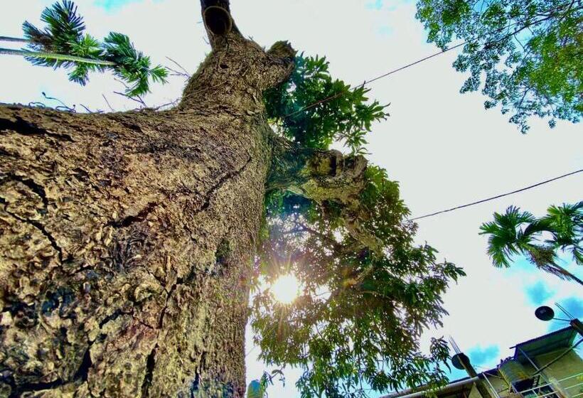 ペンション Jetuka Villa   Sibsagar