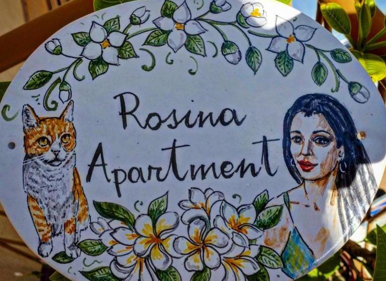 پانسیون Rosina Apartment Surfing Bed&vacation