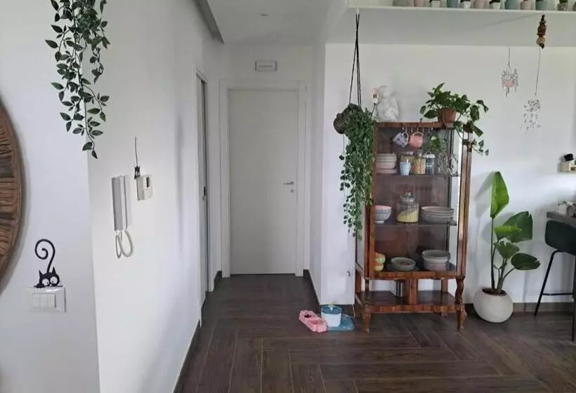 پانسیون Rosina Apartment Surfing Bed&vacation