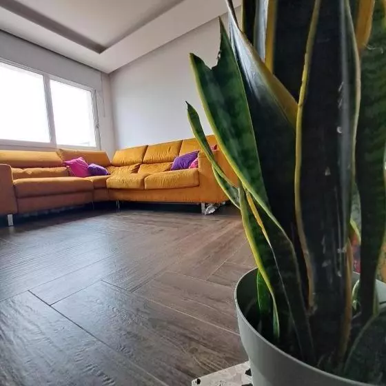 پانسیون Rosina Apartment Surfing Bed&vacation