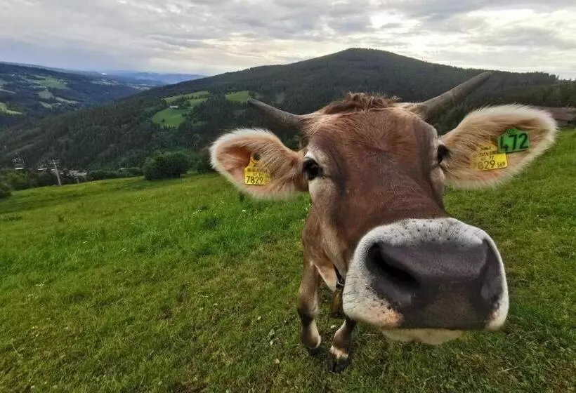 Retkeilymaja Alpengasthof Fernblick