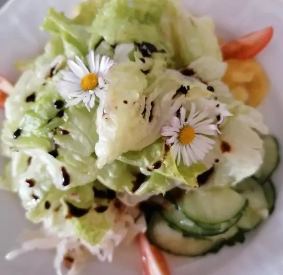 Retkeilymaja Alpengasthof Fernblick