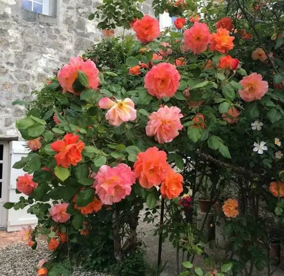 ベッドアンドブレックファースト L Horizon De Marianne