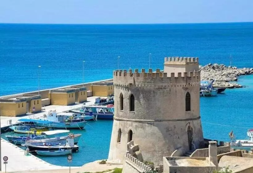 B&b Dal Contadino