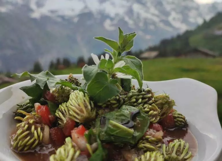 ホテル Restaurant Sonnenberg