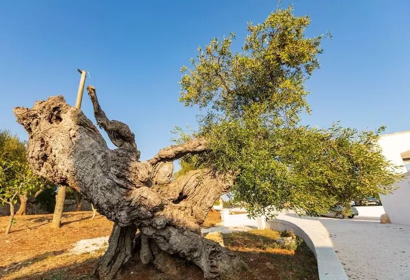 Majatalo Masseria Abadia Uno