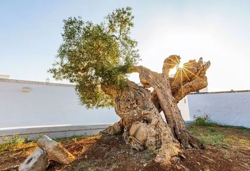Majatalo Masseria Abadia Uno