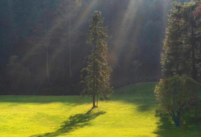 호텔 Wishgarden Resort