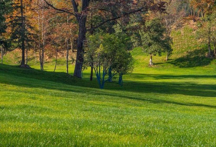 호텔 Wishgarden Resort