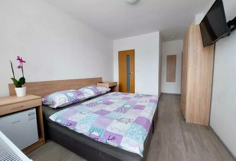 ペンション Penzion Strachotín