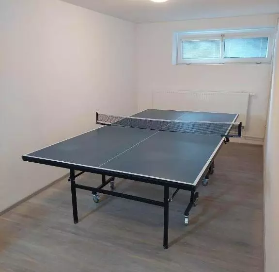 ペンション Penzion Strachotín