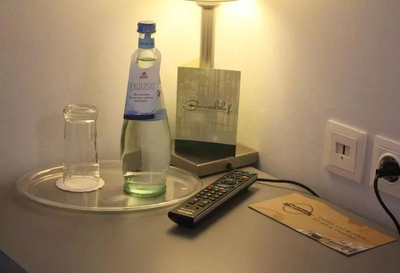 Altstadthotel Baunachshof