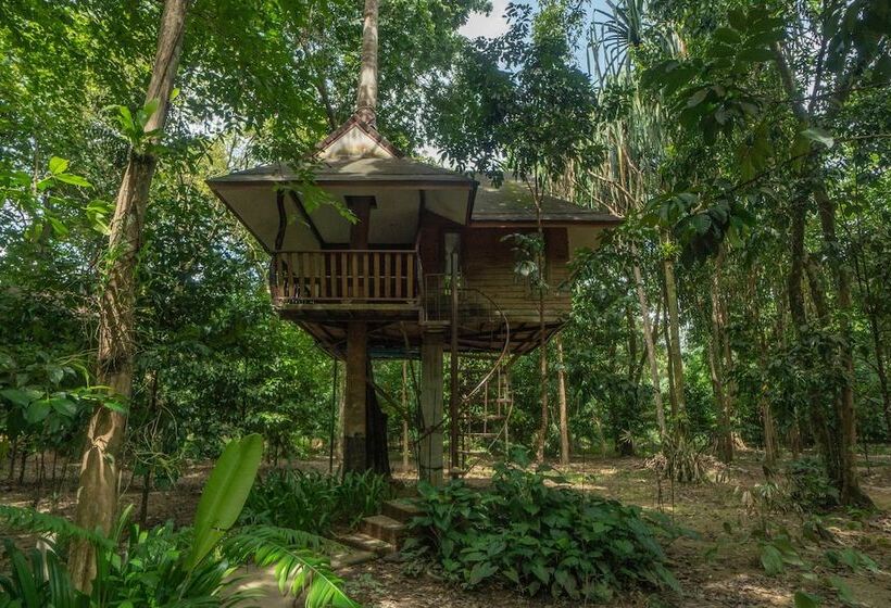 Отель Baan Khao Sok Resort