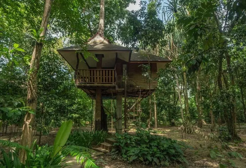 Hotelli Baan Khao Sok Resort