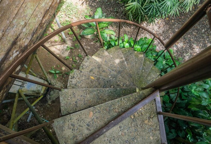 Отель Baan Khao Sok Resort