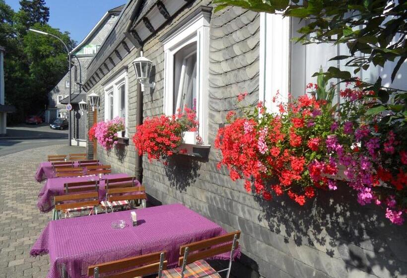 酒店 Berleburger Hof