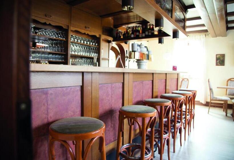 酒店 Berleburger Hof