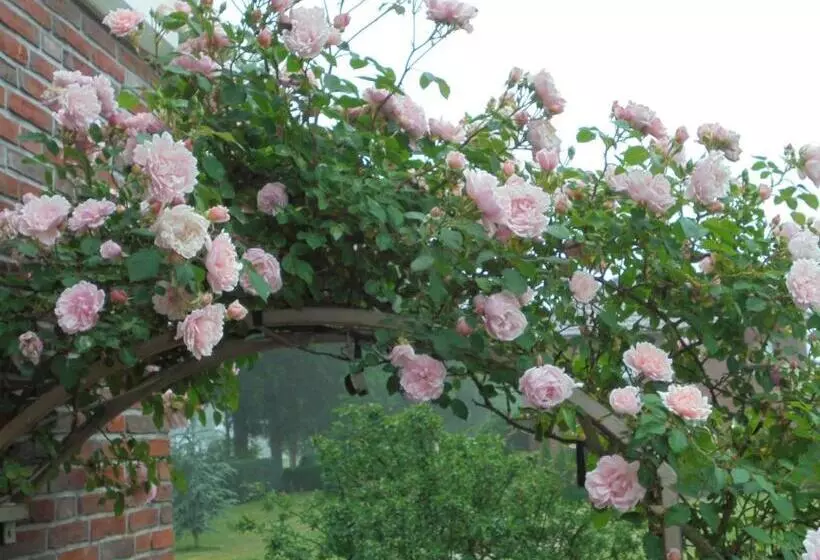 Hotelli Garni Herzog