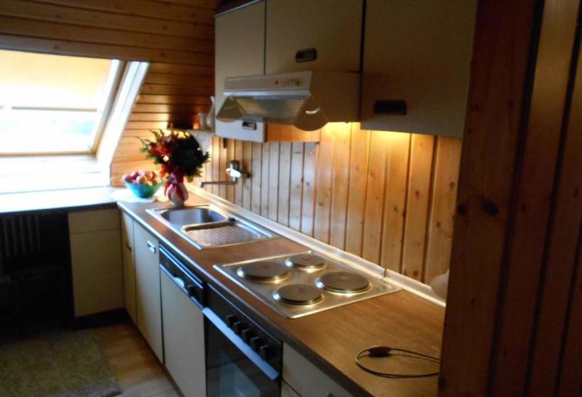 Отель Pension Zum Bierhaus