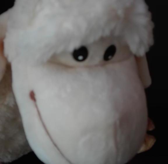 Отель Pension Zum Bierhaus