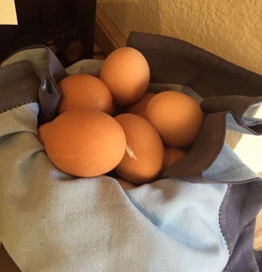 Landgasthof Und Hotel Weisser Löwe