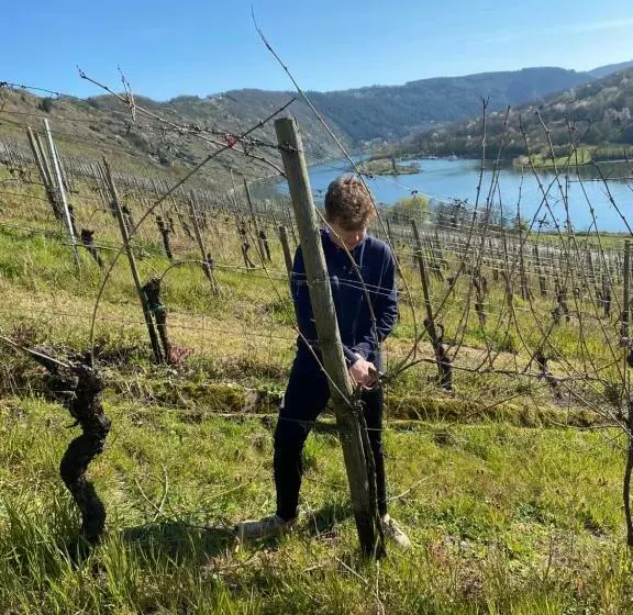 Hotelli Landgasthof Zur Sonne