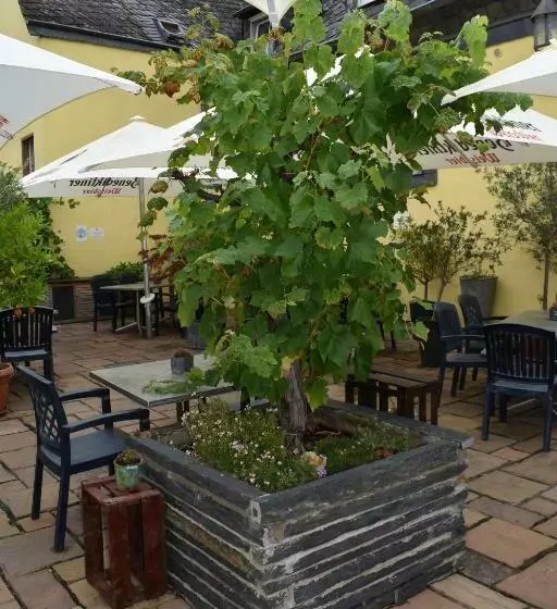 Hotelli Landgasthof Zur Sonne