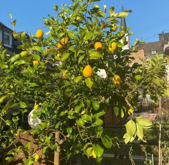 בית מלון כפרי Landgasthof Zur Sonne