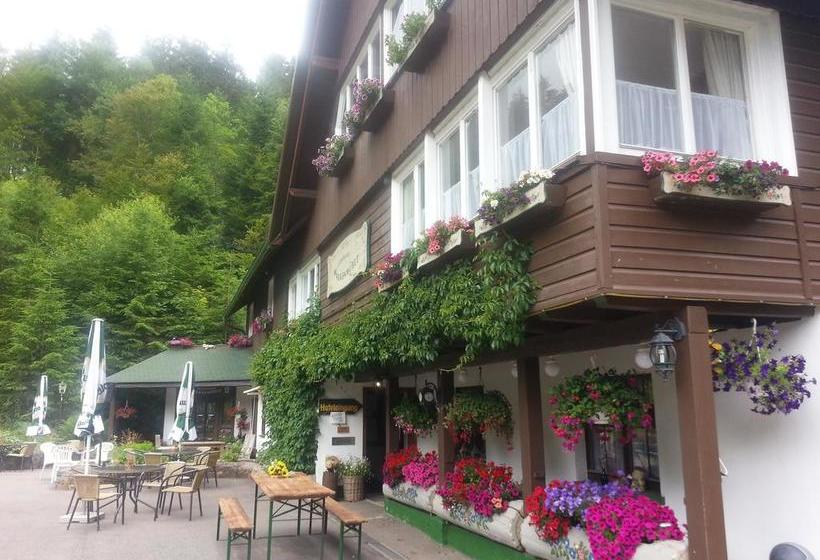 Отель Landhaus Walkenmühle