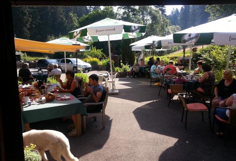 Отель Landhaus Walkenmühle