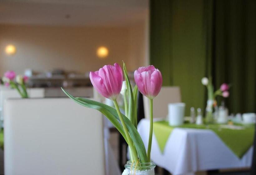 Отель & Restaurant Zur Zwiebel