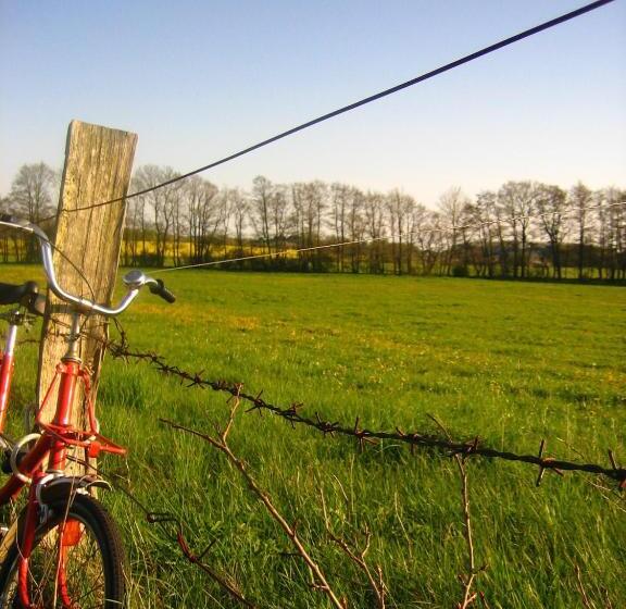 Отель & Restaurant Zur Zwiebel