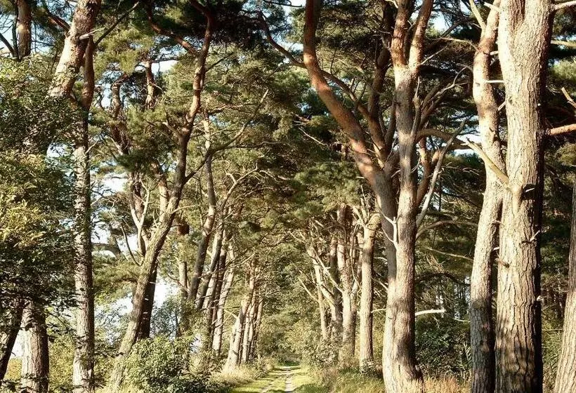 Hotelli & Restaurant Zur Zwiebel