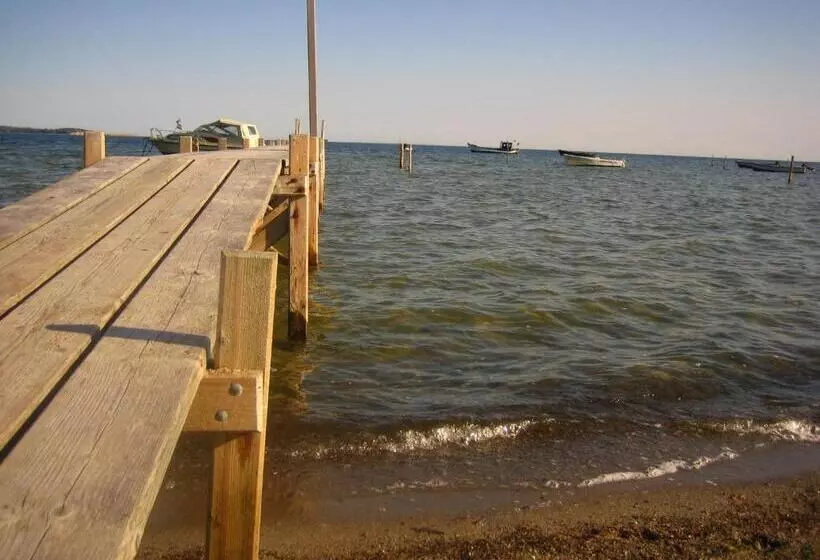 Hotelli & Restaurant Zur Zwiebel