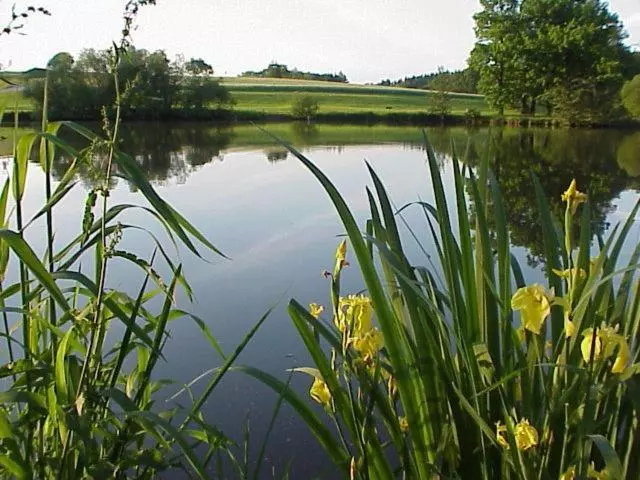 See Hotel Storchenmuehle