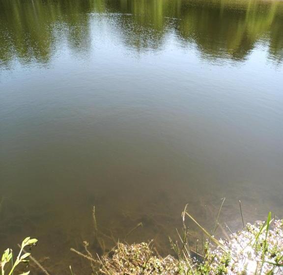 مبيت وإفطار Le Temps D Un Séjour En Bretagne Chambres D Hôtes