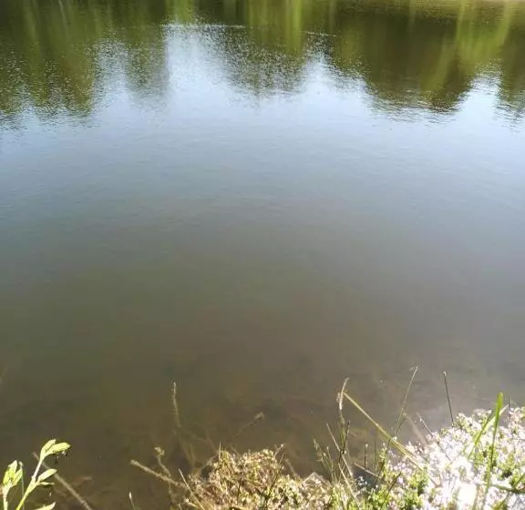 ベッドアンドブレックファースト Le Temps D Un Séjour En Bretagne Chambres D Hôtes