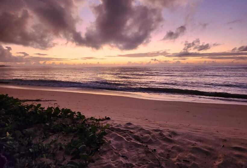 בית מלון כפרי Pousada Vila Gaia