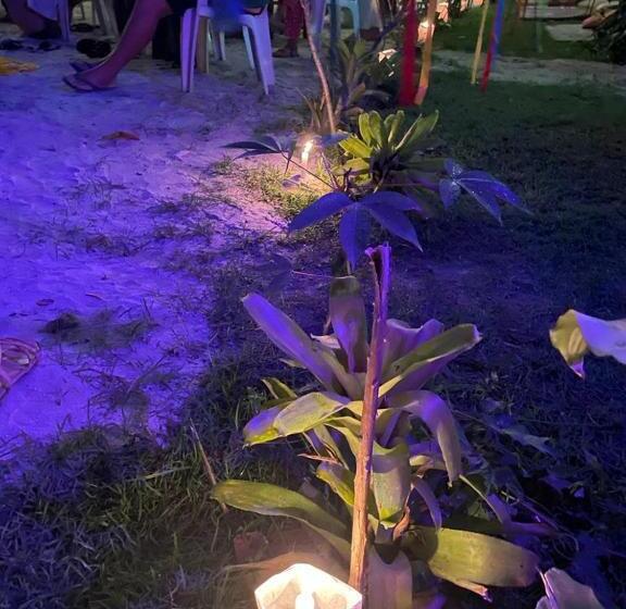 בית מלון כפרי Pousada Vila Gaia