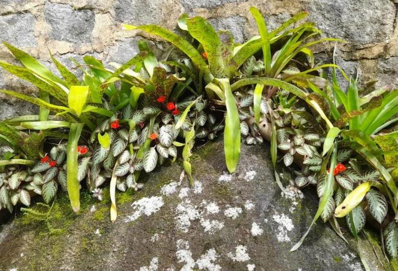 پانسیون Chácara Portal Do Dragão Suíte Independente 1