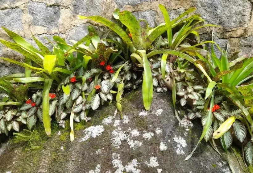 Majatalo Chácara Portal Do Dragão Suíte Independente 1