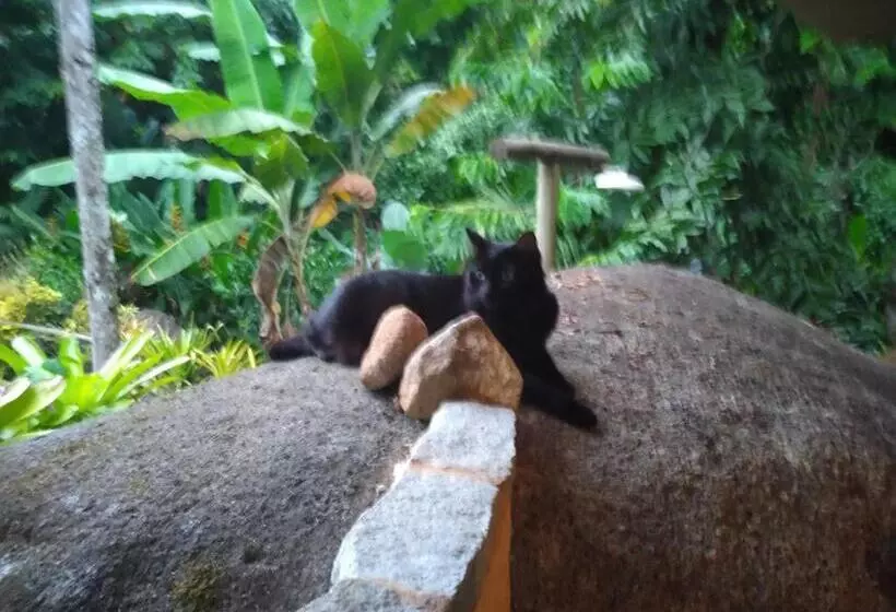 Majatalo Chácara Portal Do Dragão Suíte Independente 1